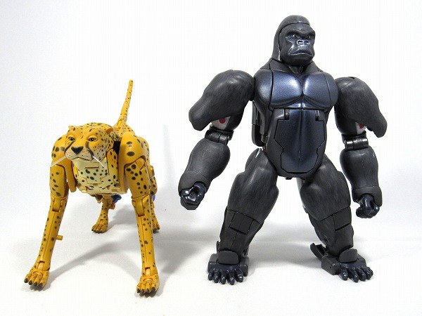 Masterpiece Cheetor Side By Side Comparison Photos   Original Toy MP Optimus Primal 01 (1 of 10)